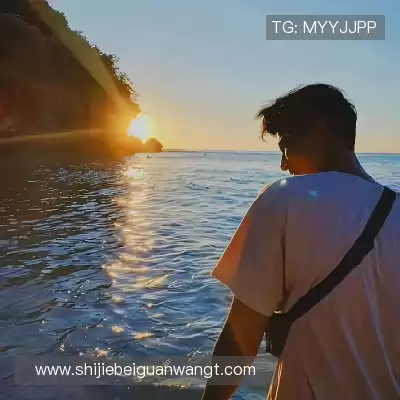 董治鹤
